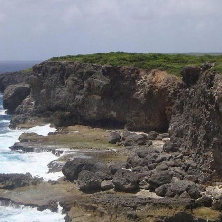 Villa Sous Le Manguier-Anse Bertrand 5Min Plage Bagian luar foto