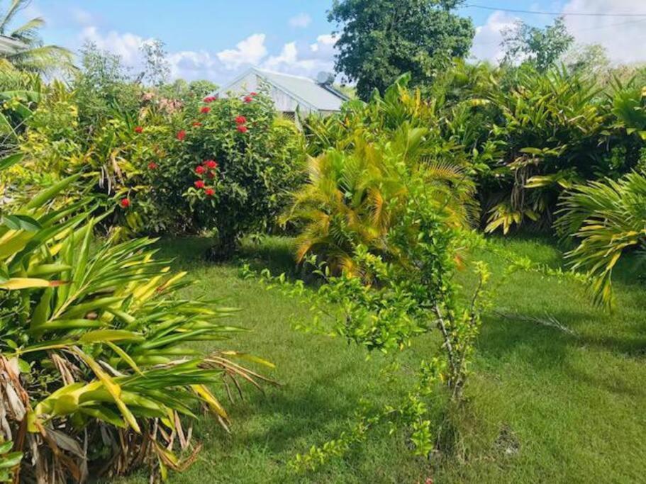 Villa Sous Le Manguier-Anse Bertrand 5Min Plage Bagian luar foto